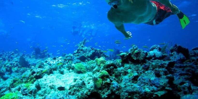 Snorkeling in Trincomalee - How the small group changes the experience