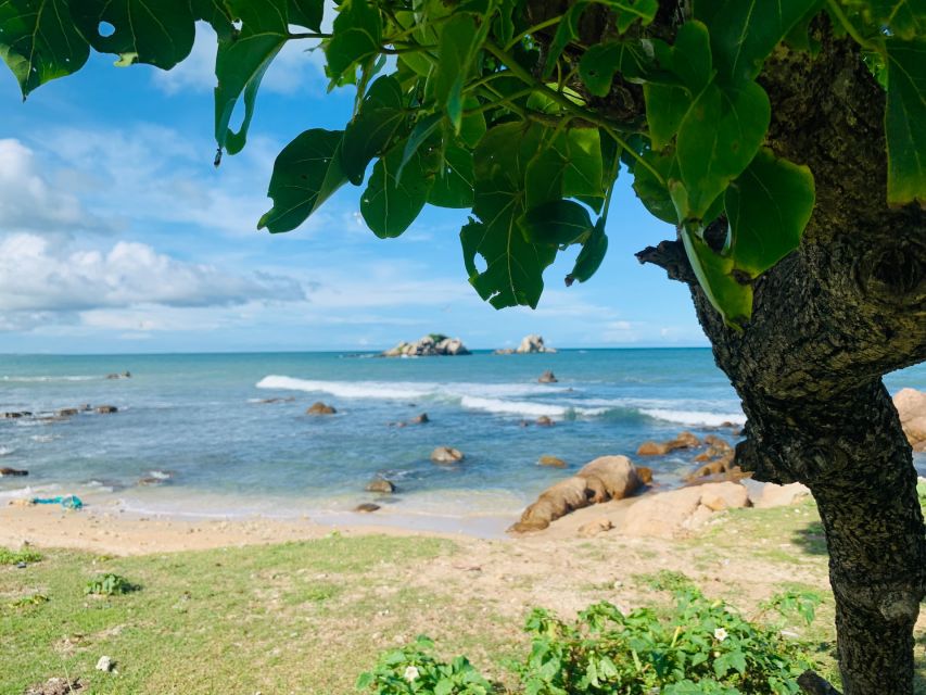 Snorkeling in Trincomalee - Who will enjoy this outing most