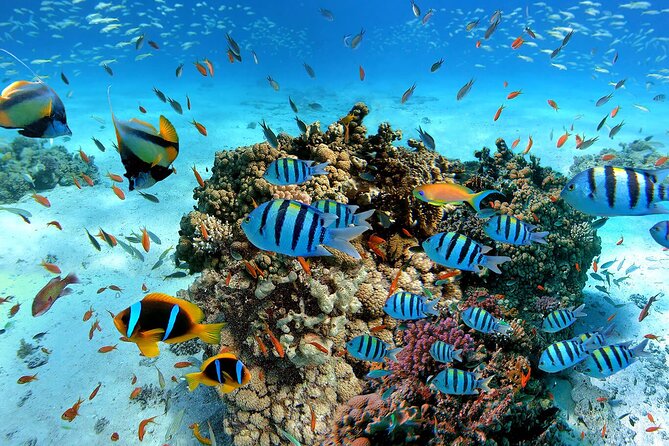 Snorkeling in Trincomalee - Starting with training and safety guidance