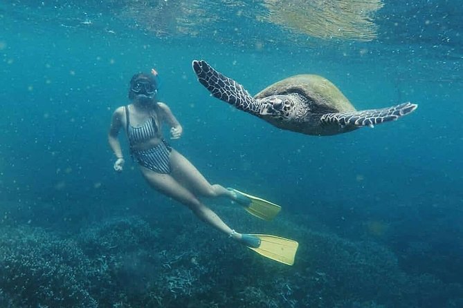 Snorkeling in Unawatuna - Key points to know before you book