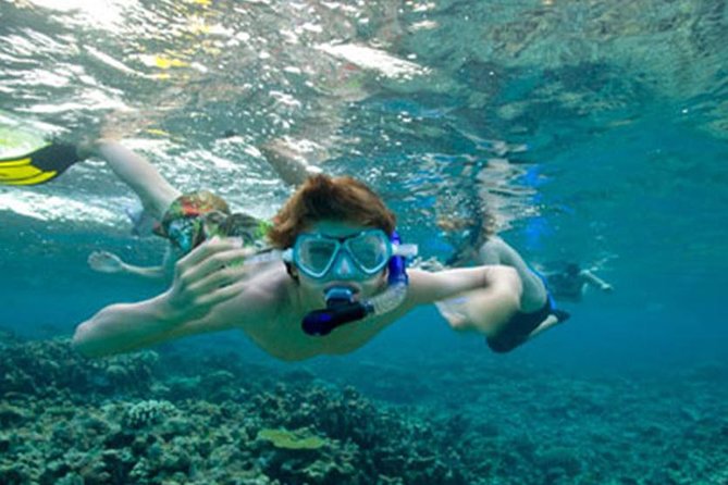 Snorkeling in Unawatuna - Why Unawatuna Bay works well for first-time snorkeling