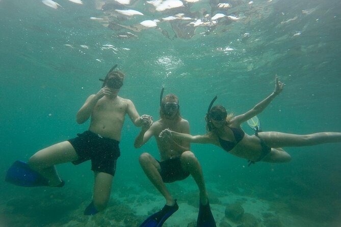 Snorkeling On Beautiful Rock Island - Unawatuna by Boat - Key points to know before you book