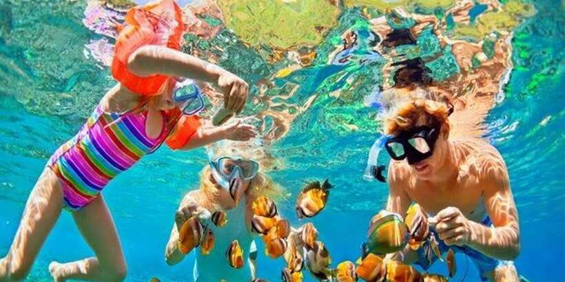 Snorkeling Trip from Polhena Beach, Matara, Sri Lanka - Key points to know before booking