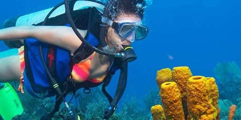 Snorkeling Trip from Polhena Beach, Matara, Sri Lanka - Fish, coral, and shells beyond the turtles