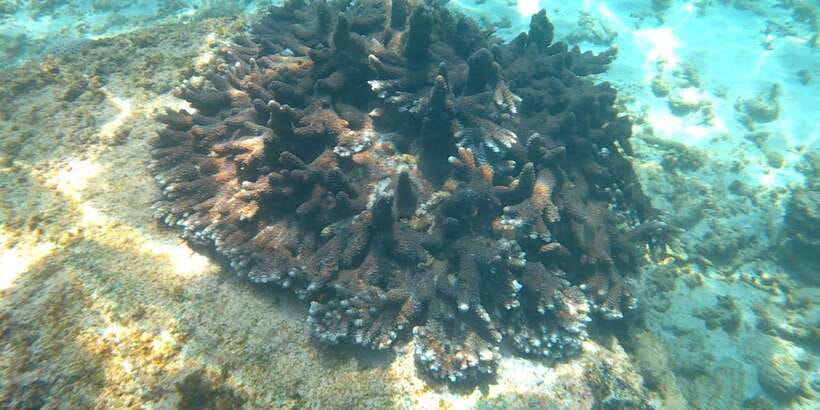 Snorkeling Trip from Polhena Beach, Matara, Sri Lanka - The meeting point and café stop
