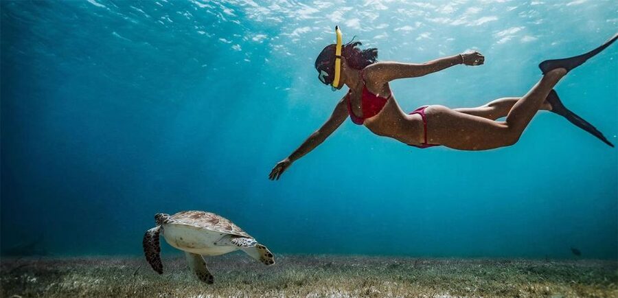 Snorkeling Trip from Polhena Beach, Matara, Sri Lanka - Who will enjoy this most