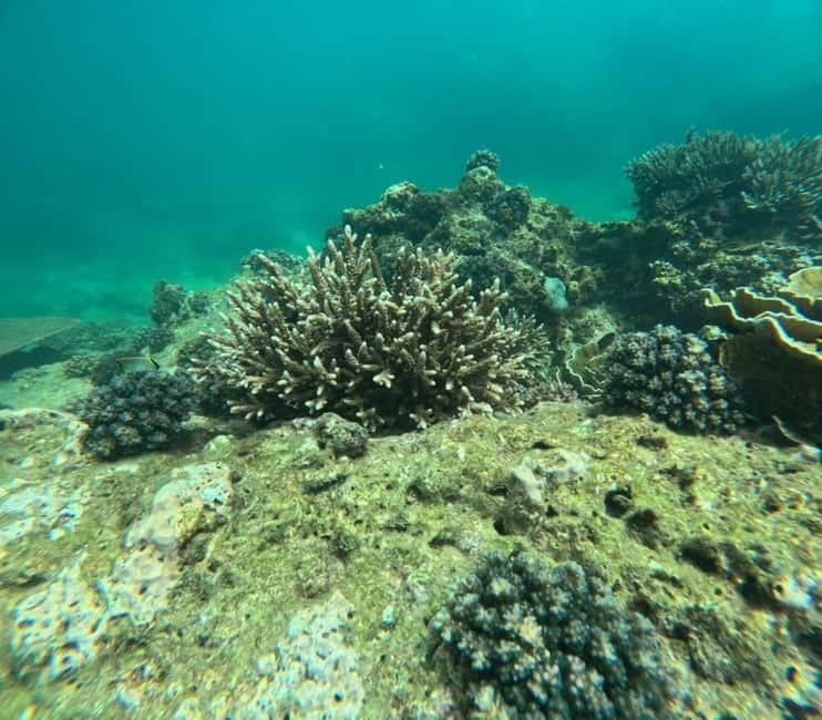 Snorkeling Trip To Angel Rock - Key Things To Know Before You Go