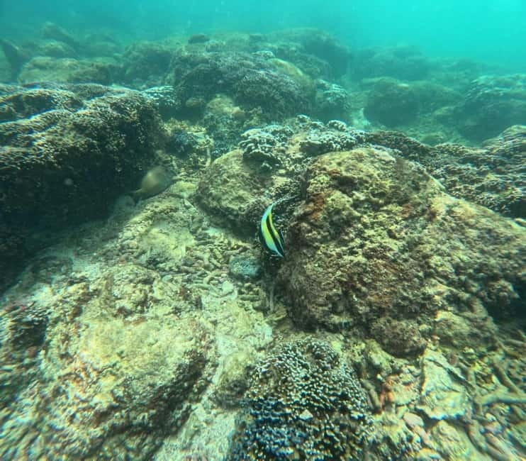 Snorkeling Trip To Angel Rock - Leaving Nilaveli by Speedboat