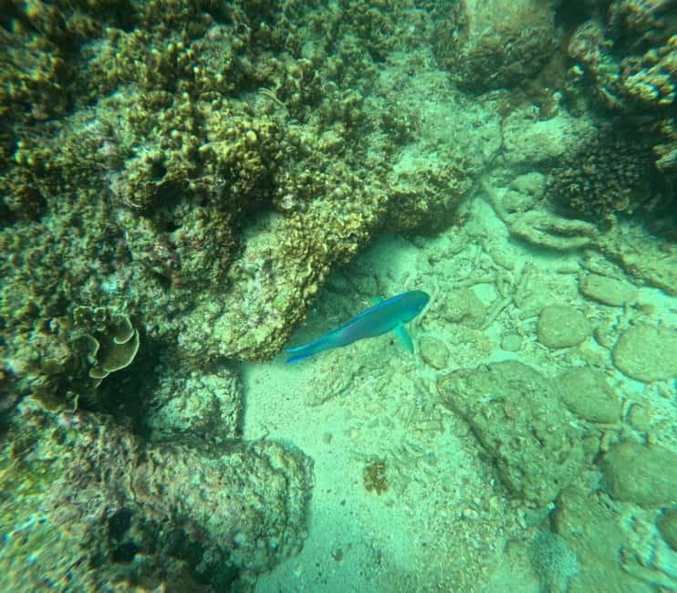Snorkeling Trip To Angel Rock - What Makes Angel Rock Different From Pigeon Island