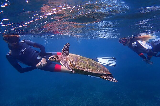 Snorkeling Trip To Pigeon Island - What the coral looks like now