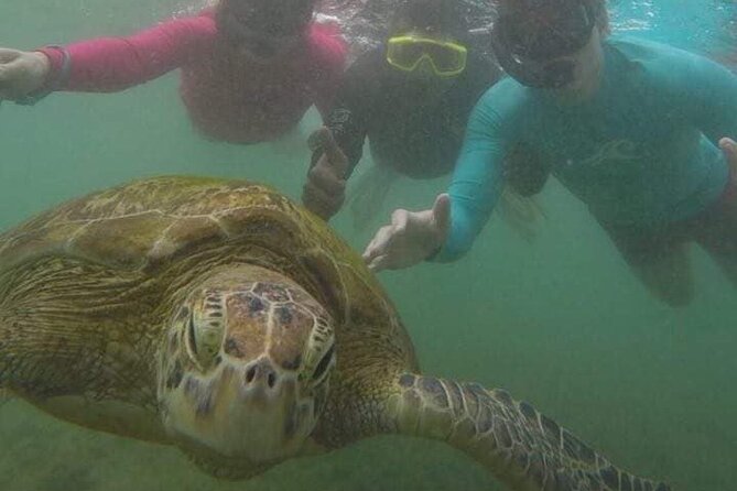 Snorkeling with Sea Turtles in Mirissa (Pickup and Drop included) - Following Aja to the turtle area