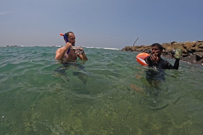 Snorkeling with Turtles in Mirissa - Is $25 good value for one hour?