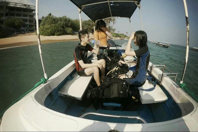 Snorkeling with Whales in Mirissa - Is $348.72 a fair price?