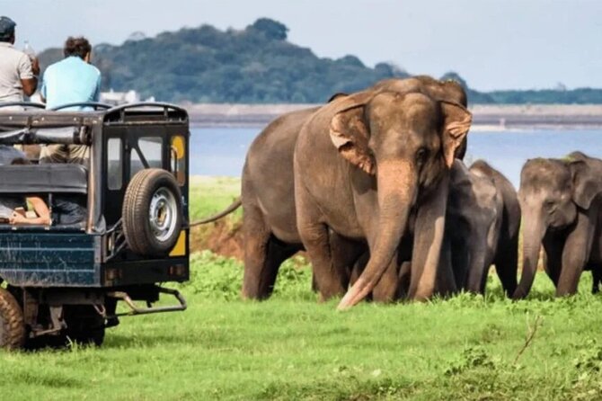 Special Full Day Safari Yala National Park - 04:30 AM to 06:00 PM - Who should choose this full-day format?