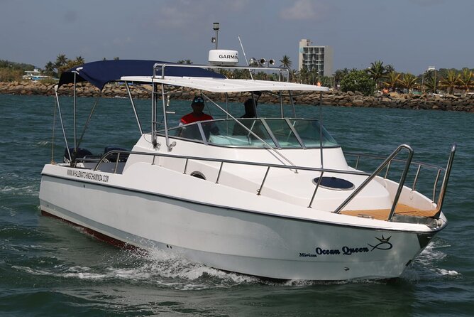 Sports Boat- Private Whale Watching Trip( free breakfast & paid pick-up) - The 10-meter sports boat and what it means