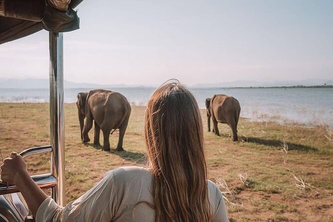 Sri Lanka 03 night 04 days budget tour package - What the private vehicle adds