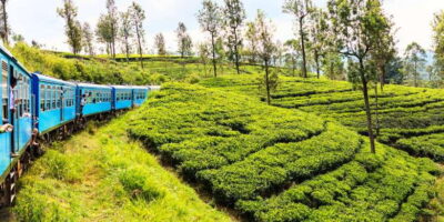 Sri Lanka: 2-Day wildlife tour; rainforest and National park