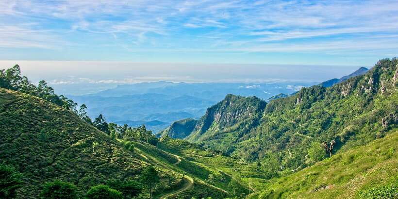 Sri Lanka: 2-Day wildlife tour; rainforest and National park - The blue train from Ella toward Nuwara Eliya