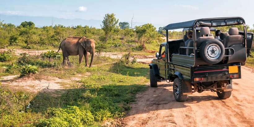 Sri Lanka: 2-Day wildlife tour; rainforest and National park - What the $350 price really covers