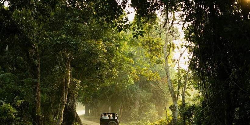 Sri Lanka: 2-Day wildlife tour; rainforest and National park - Who should book this two-day tour?