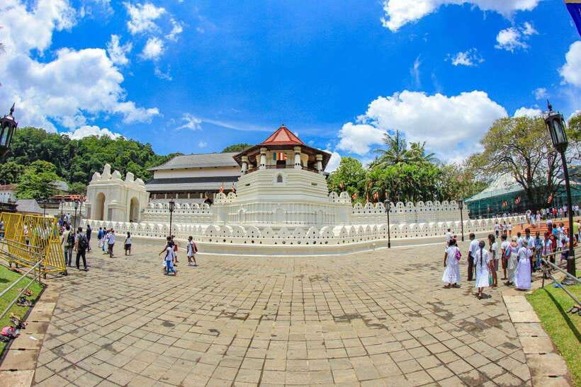 Sri Lanka: 3N4Day guided FULL TOUR with hotel accommodations - Day two: elephants, village cooking, and cultural performance