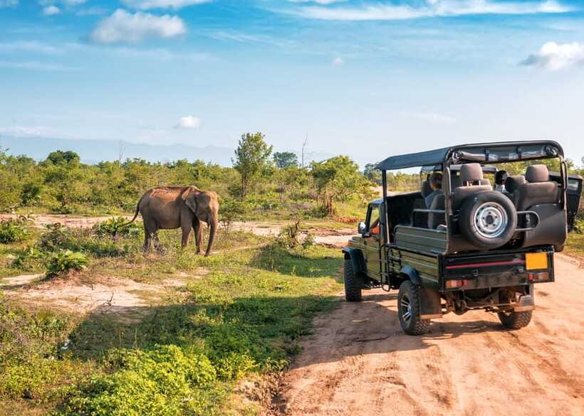 Sri Lanka: 4-Day Private Tour Focusing on Cultural Triangle - What the private guide adds
