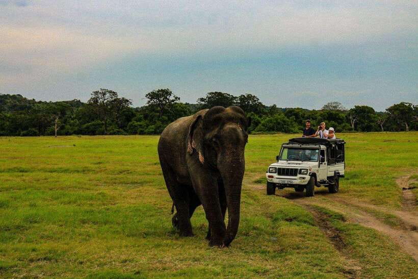 Sri Lanka: 4N5Day guided FULL TOUR with hotel accommodations - Day 1: Colombo to Sigiriya, Dambulla, and Lion Rock
