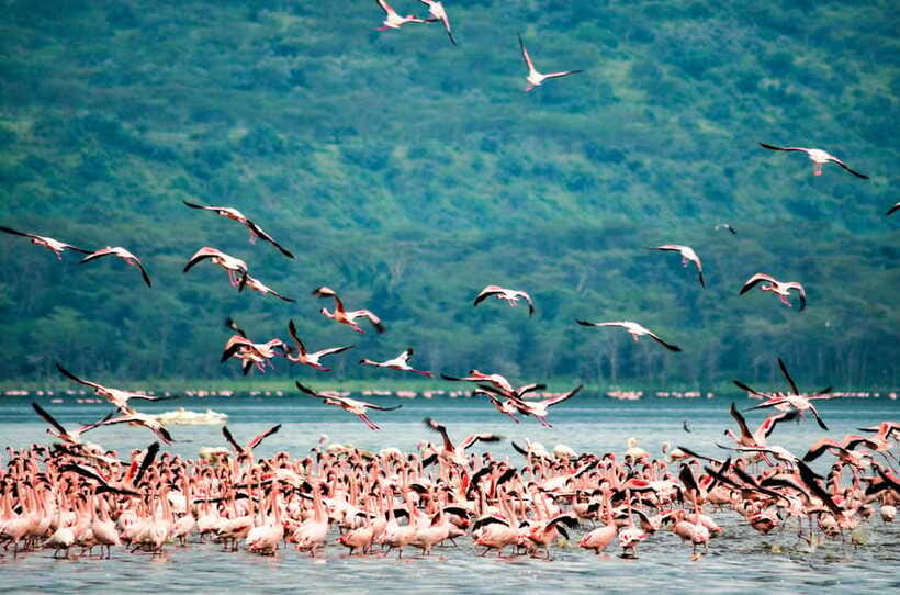 Sri Lanka 5-Day Private Country Side Tour Car, Hotels, Food - A private tour with a human advantage
