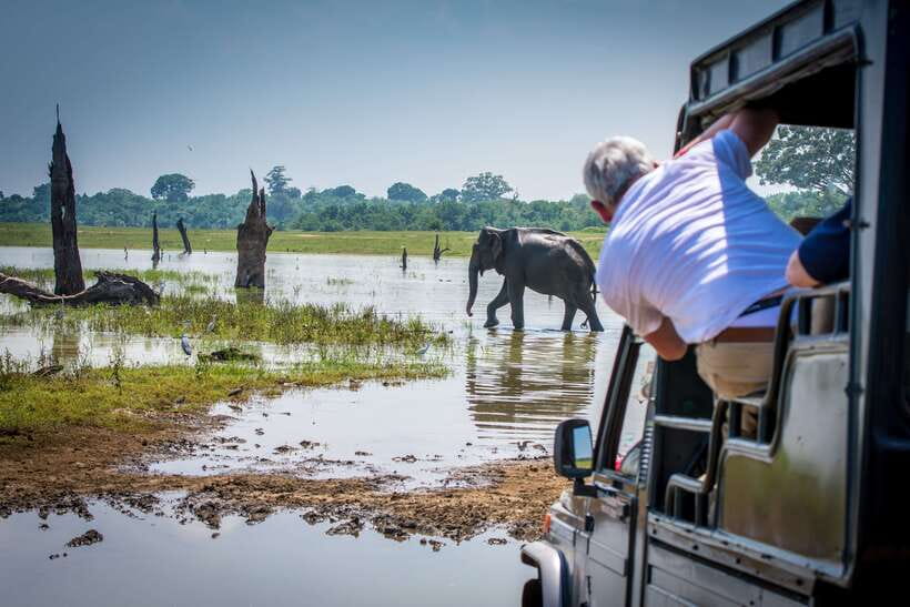 Sri Lanka: 5 Days Multi City Sightseeing Tour - A fast route through Sri Lanka’s cultural heart