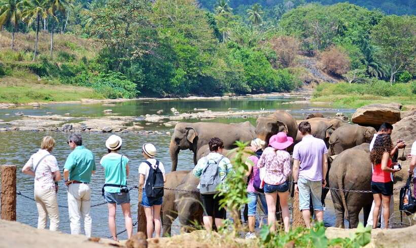 Sri Lanka: 7-Day Off-The-Beaten Path Private Tour - Colombo’s final city tour