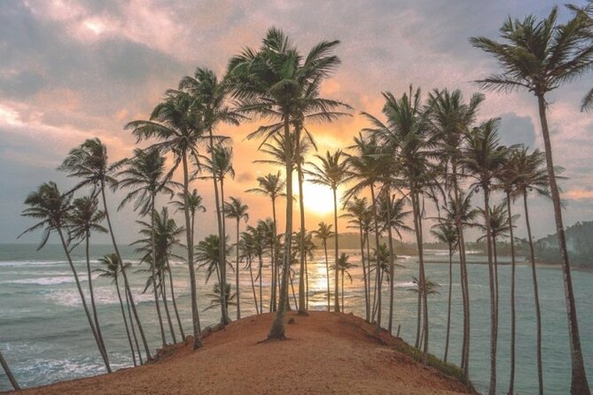 Sri Lanka 8 Tage 7 Nächte Tour mit privatem Fahrer - Day 6: Ella’s best-known walks