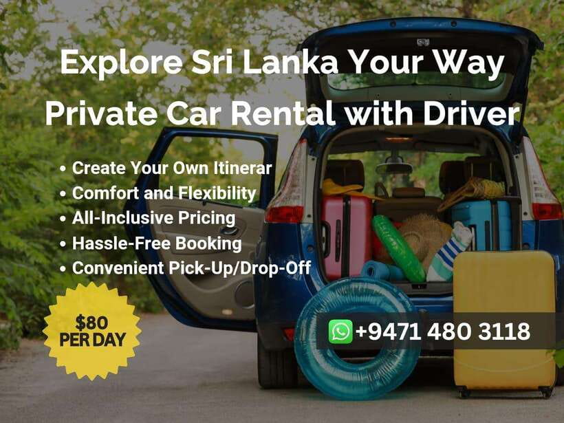 Sri Lanka Car Rental with Driver - 3 Days Minimum, 180km/Day - What This Sri Lankan Car Service Really Provides