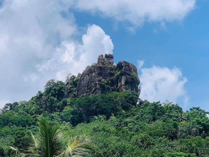Sri Lanka: Ceylon Cinnamon Experience & Spice Garden Tour - Group size, guides, and the pace of the visit
