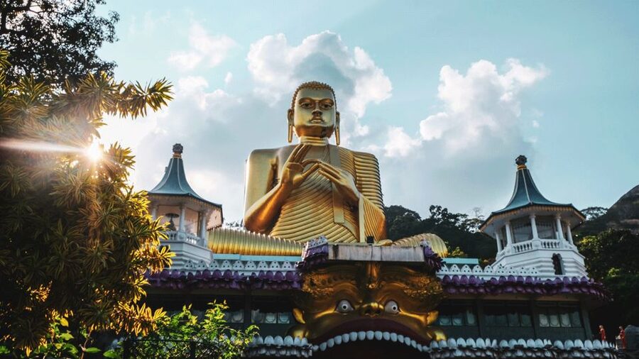 Sri Lanka Cultural Triangle Private 2-Day Tour+Wildlife Tour - Transport, timing, and the comfort question
