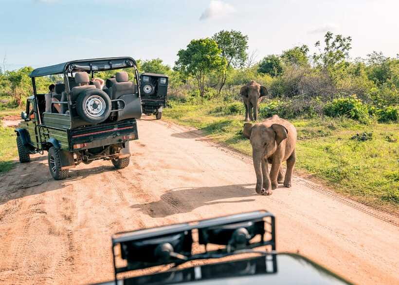 Sri Lanka Cultural Triangle Private 2-Day Tour+Wildlife Tour - What the two-day route really covers