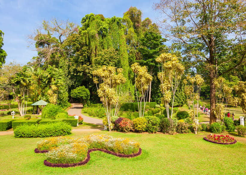 Sri Lanka Cultural Triangle Private 2-Day Tour+Wildlife Tour - Kandy and the Temple of the Sacred Tooth Relic