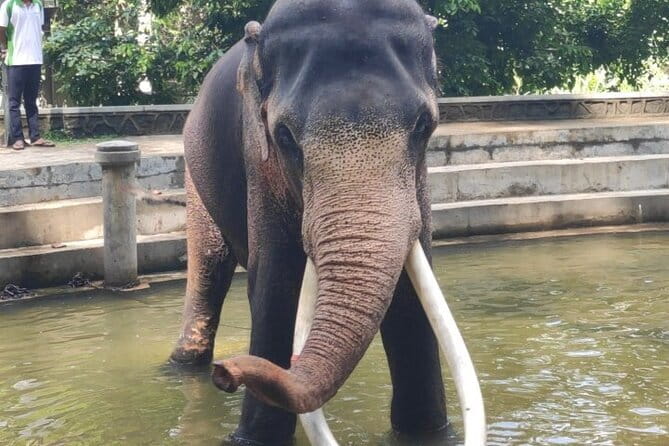 Sri Lanka Driver's and Guide with Luxury Cars - Weather, road conditions, and a calm attitude