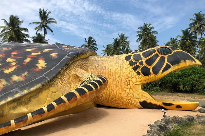 Sri Lanka Ella Private Day Tour Nine Arch & Elephant transit home - What the private vehicle and guide add