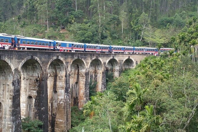Sri Lanka Ella Private Day Tour Nine Arch & Elephant transit home - Nine Arches Bridge, a railway walk with a payoff