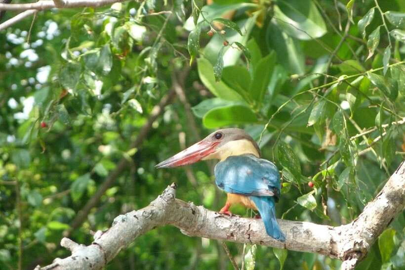 Sri Lanka Green Bless- 2-day Private Trip To Enjoy Nature - What this two-day Sri Lanka trip really offers