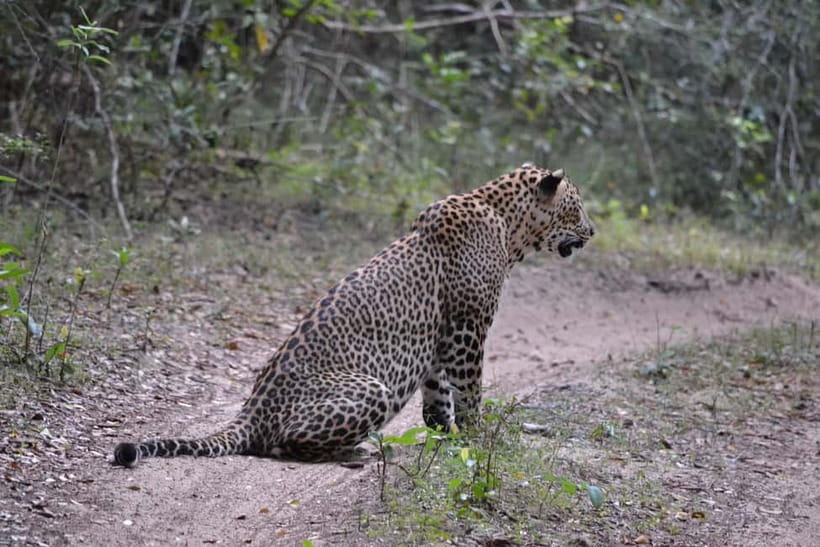 Sri Lanka Private 10-Day Round Tour Car, Guide, Hotels, Food - Day 3: Polonnaruwa and village life