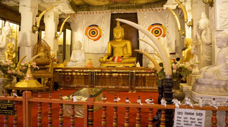 Sri Lanka Private 2-day Tour:Train Trip, Kandy, Nuwara Eliya - Kandy’s Temple of the Tooth and city walk