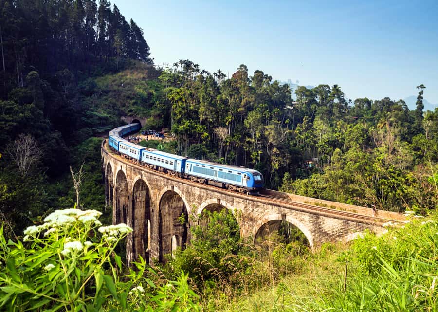 Sri Lanka Private 2-day Tour:Train Trip, Kandy, Nuwara Eliya - Peradeniya turns a garden visit into a major stop