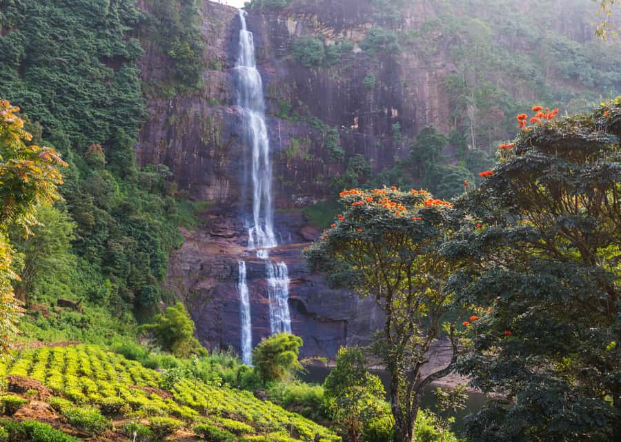 Sri Lanka Private 2-day Tour:Train Trip, Kandy, Nuwara Eliya - Day one begins with spices near Kegalle