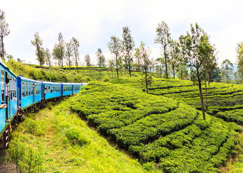 Sri Lanka Private 3-nights Tour Transport, Guide, Hotels - Should you book this four-day tour?