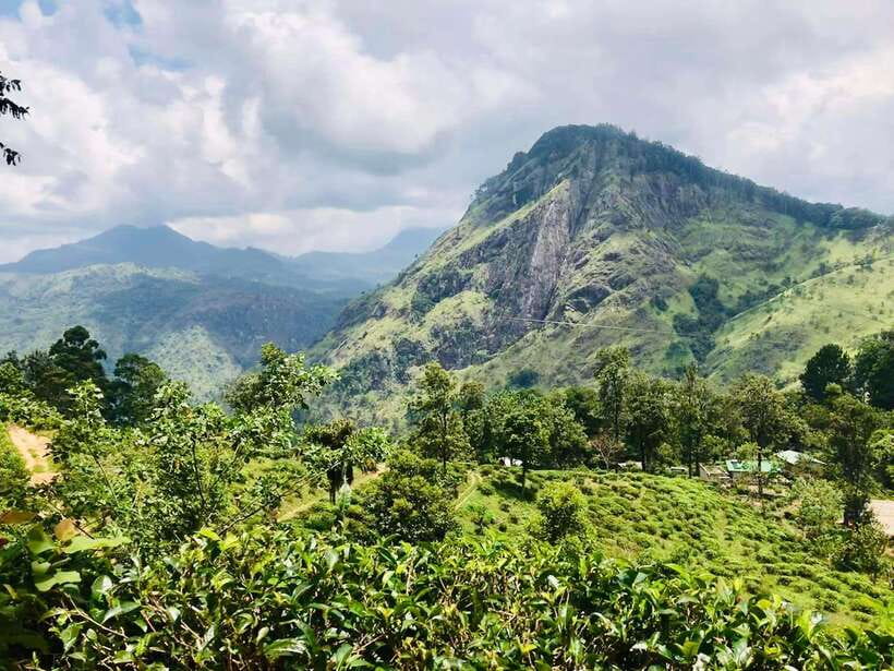 Sri Lanka Private 3-nights Tour Transport, Guide, Hotels - Is four days enough for Sri Lanka?