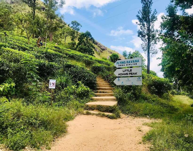 Sri Lanka Private 3-nights Tour Transport, Guide, Hotels - Day two: Sigiriya, Dambulla, and a Minneriya safari