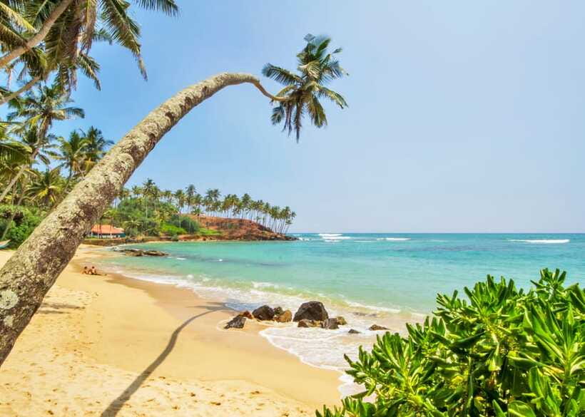 Sri Lanka Private 3-nights Tour Transport, Guide, Hotels - Hotels, meals, and extra costs