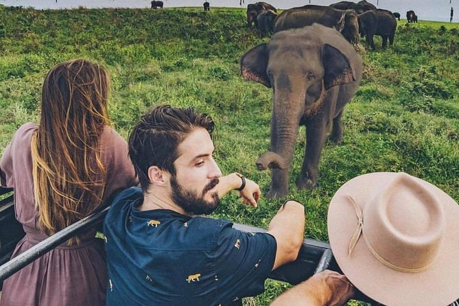 Sri Lanka private tour package 9 night 10 Day with driver+vehicle+accommodations - Day 3: Sigiriya Rock and Polonnaruwa’s medieval capital