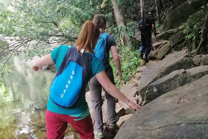 Sri Lanka Sinharaja Rain Forest Tour with Transport - Wildlife, birds, and the value of patience